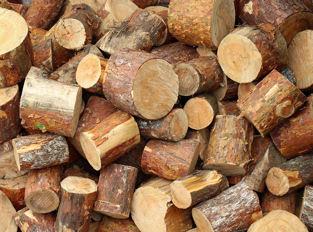 firewood near me, kiln dried logs near me, kiln dried firewood, firewood north wales